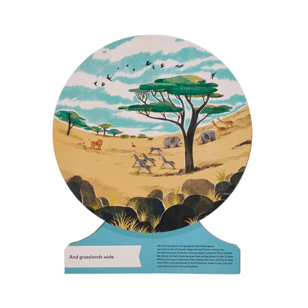 Our World: A First Book Of Geography