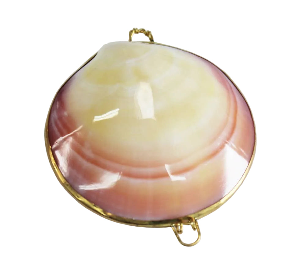 Tigrina Shell Coin Purse