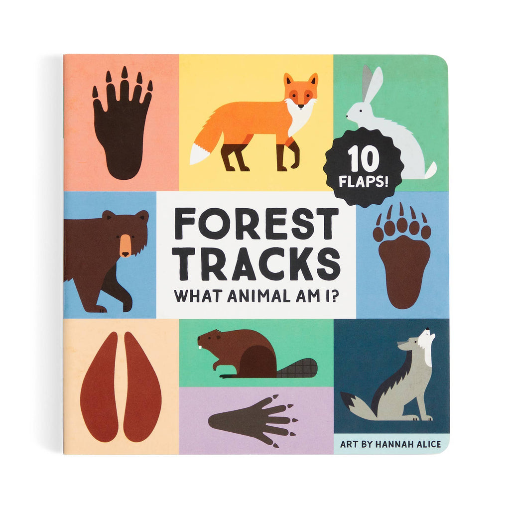 Forest Tracks: What Animal Am I