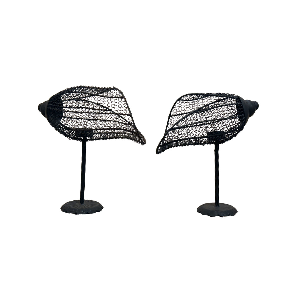 Nautilus Shell Candleholders, Pair
