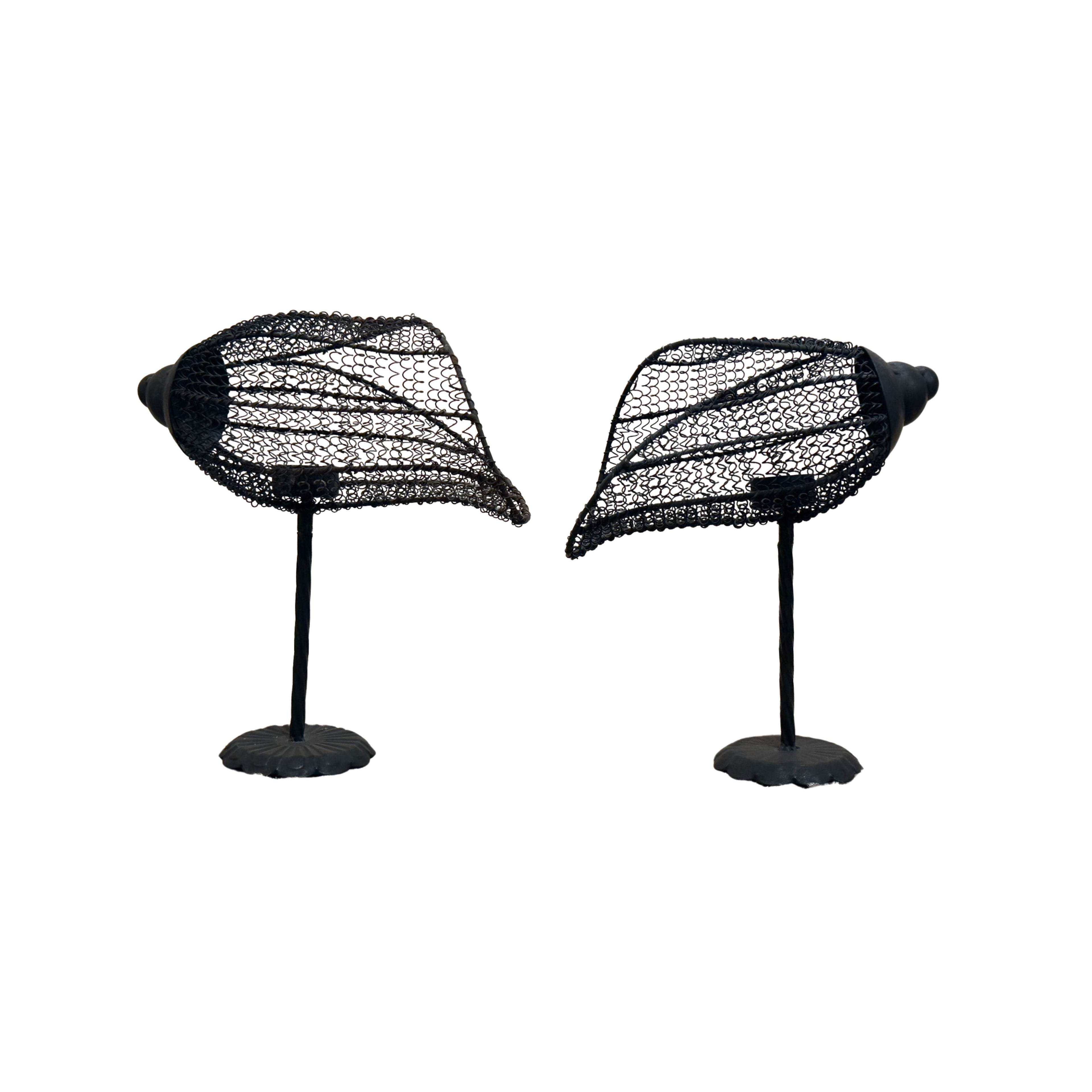 Nautilus Shell Candleholders, Pair